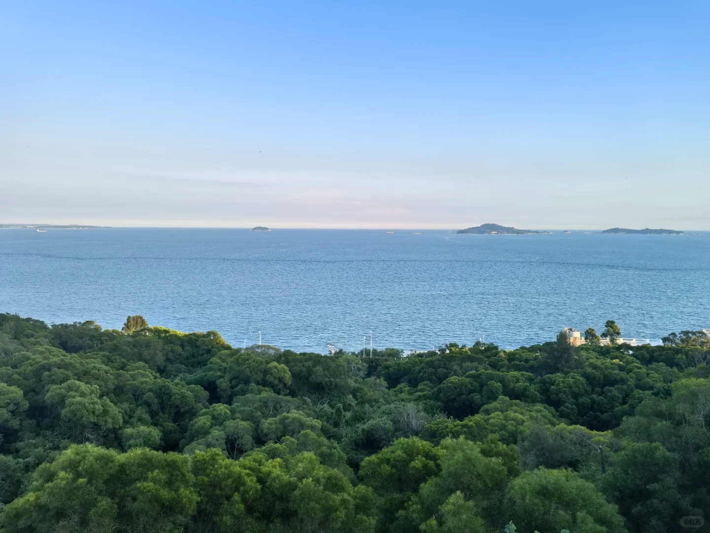 廈門大學文化之旅